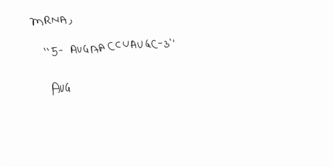 what-amino-acid-sequence-does-the-following-mrna-nucleotide-sequence-specify-5augaaccuaugc3-express-the-sequence-of-amino-acids-using-the-three-letter-abbreviations-separated-by-hyphens-eg-m-38569