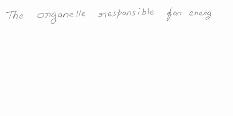 the-energy-that-comes-from-organic-compounds-is-transferred-to-the-cell-to-maintain-healthy-function-which-organelle-in-an-animal-cell-is-responsible-for-this-energy-transfer-22014