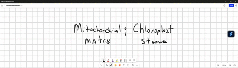 plants-release-carbon-dioxide-in-the-________-and-fix-carbon-dioxide-in-the-calvin-cycle-in-the-_________-group-of-answer-choices-chloroplast-stroma-mitochondrial-matrix-mitochondrial-matrix-chloropla