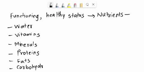 list-the-nutrients-required-by-the-body-describe-the-chemical-digestion-of-organic-nutrients-and-discuss-the-absorption-of-organic-and-inorganic-nutrients-53743
