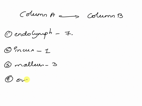 217-review-sheet-17-the-ear-and-hearing-and-balanceanatomy-column-a-column-b-endolymph-1collectively-cated-the-auditory-ossicles-incus-2oar-structures-involved-malleus-with-balance-oval-wind-64594