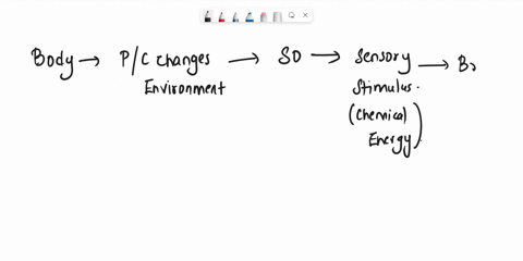 when-one-form-of-energy-is-converted-into-another-form-of-energy-such-as-the-conversion-from-a-sensory-stimulus-energy-to-action-potential-this-is-known-as-_______-48136