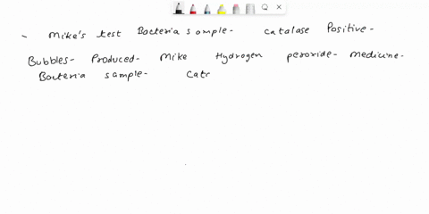 question-mike-as-student-in-bio-225-was-bacteria-obtaining-the-expected-bubbles-performing-catalase-test-and-set-up-positive-control-with-known-catalase-positive-before-he-could-perform-the-70512