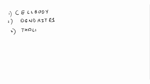 to-summarize-what-you-have-learned-identify-the-parts-of-a-neuron-or-a-brain-that-correspond-to-thegiven-functions-below-the-parts-are-found-inside-the-grid-and-loop-these-words-either-horiz-49302