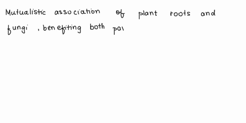 mutualistic-associations-of-plant-roots-and-fungi-are-called-select-one-a-mycophyta-b-mycelia-c-mycorrhizae-d-myrmecochores-53061