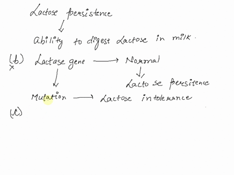 question-17-which-of-the-following-statements-about-lactase-persistence-in-humans-are-true-please-select-all-that-apply-most-people-do-not-exhibit-lactase-persistence-b-lactase-persistence-i-20258
