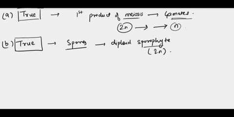 in-plant-life-cycles-a-the-first-products-of-meiosis-are-gametes-b-spores-are-part-of-the-diploid-4-24454