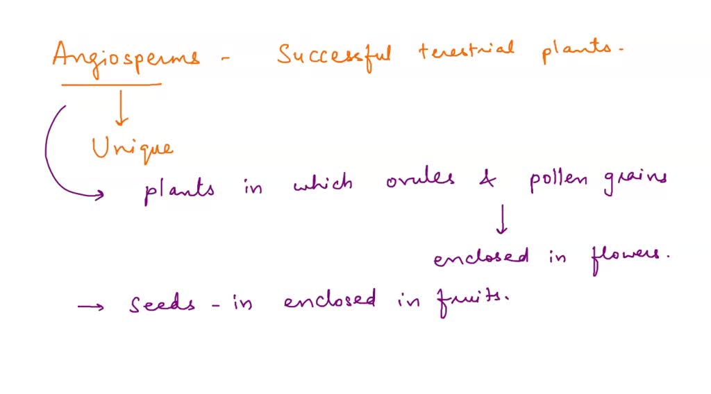 SOLVED 17) Angiospems are the most successful terrestrial plants