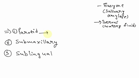 salivary-glands-submandibular-sublingual-or-parotid-gland-the-nice-dillerent-culvary-olund-d-ler-in-tc-ptoporteon-of-irrou-mcouncn-iht-ihey-contln-thars-thcthret-plands-nave-d-merent-coninib-22493