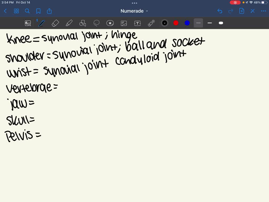 solved-structural-functional-specific-name-of-joint-movements