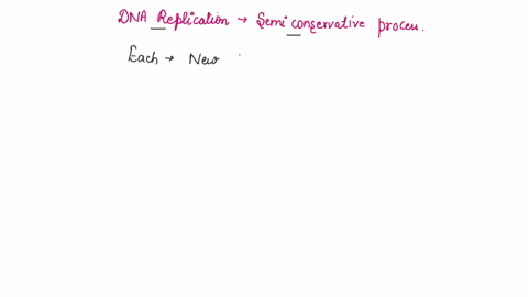 dna-replication-is-a-semi-conservative-process-this-means-that-after-replication-aeach-new-dna-double-helix-consists-of-two-old-strands-each-new-dna-double-helix-consists-of-two-new-strands-55697