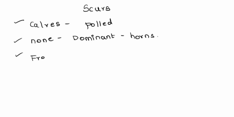 scurs-in-cattle-are-expressed-depending-on-the-sex-of-the-animal-in-males-the-scur-allele-is-dominant-and-in-females-the-scur-allele-is-recessive-additionally-scurs-only-present-in-polled-an-44612