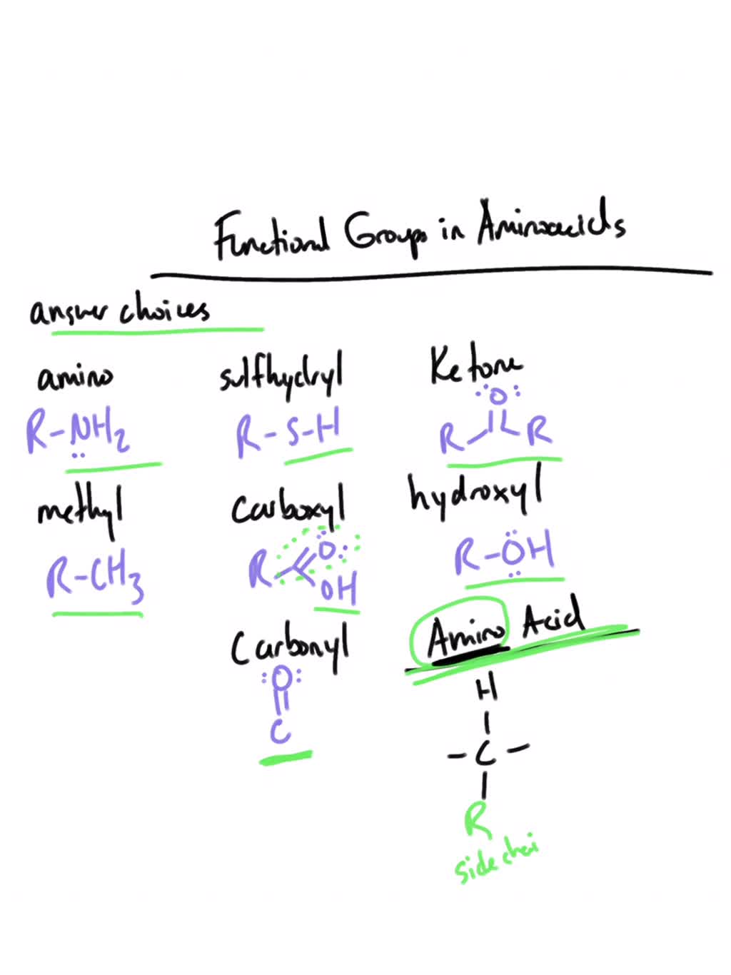 SOLVED Which two functional groups are always found in amino acids?N