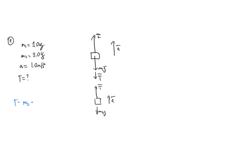 3-forces-in-1-dimension-in-the-figure-below-left-string-is-attached-between-the-two-blocks-each-of-which-has-mass-m1-10kg-top-block-and-m2-20kg-bottom-block-thesc-two-blocks-arc-hanging-by-a-52443