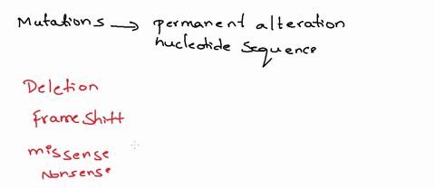 question-50-1-point-a-mutation-that-causes-the-amino-acid-coded-to-stay-the-same-is-called-mutation-silent-missense-nonsense-frameshift-question-51-1-point-a-mutation-that-causes-the-amino-a-79897
