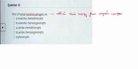 question-13-most-of-human-bacterial-pathogens-are-a-anaerobic-chemolithotrophs-b-anaerobic-chemoorganotrophs-a-aerobic-chemolithotrophs-b-aerobic-chemoorganotrophs-e-phototrophs-82442