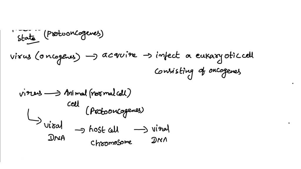 SOLVED: Two Different Female Drosophila Were Isolated, Each ...