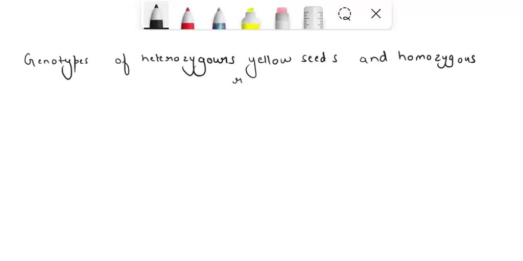 SOLVED In garden pea plants, the purple seed colour (Y) is dominant