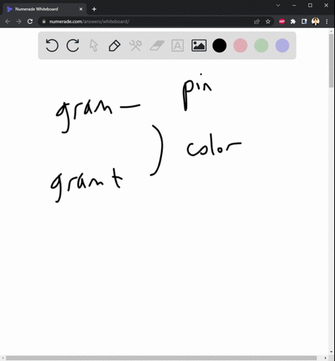 what-color-are-gram-negative-organisms-after-completion-of-the-gram-stain-99588
