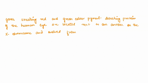 the-genes-encoding-the-red-and-green-color-detecting-proteins-of-the-human-eye-are-located-next-to-o-39548