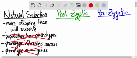question-11-not-yet-answered-points-out-of-100-flag-question-categorize-the-following-as-prezygotic-or-postzygotic-isolating-mechanisms-different-mating-calls-in-species-of-frogs-hybrid-ster-05808