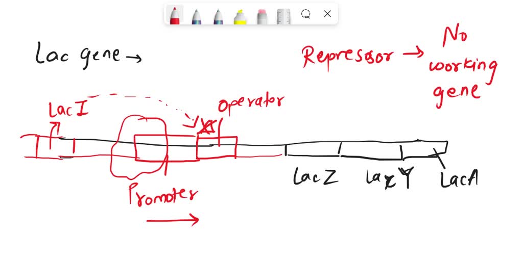 SOLVED: In the table below; 2 genotypes of two partial diploid coli ...