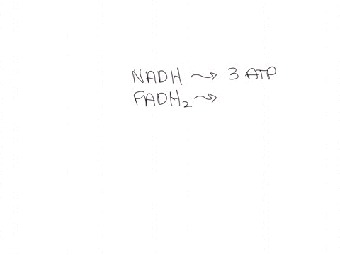 the-fadh2-and-nadh-molecules-produced-by-the-oxidation-of-_-singl-acetyl-coa-molecule-results-in-athe-synthesis-of-more-or-less-a3-atps-b-6-atps-c11-atps-d15-atps-2-how-many-acetyicoa-molecu-43065