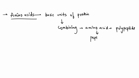 if-an-amino-acid-is-not-used-to-create-new-proteins-it-can-be-________a-converted-to-acetyl-coab-converted-to-glucose-or-ketonesc-converted-to-nitrogend-stored-to-be-used-later-36925