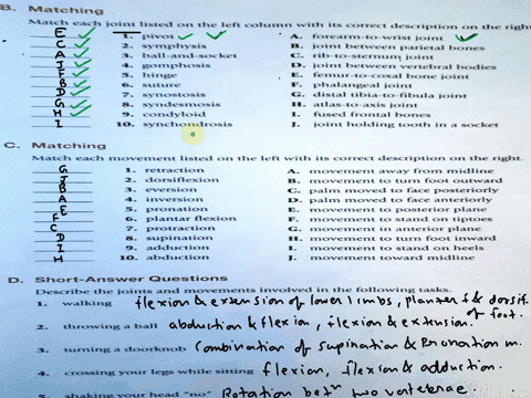 please-just-answer-part-d-short-answer-questions-1-6-bmatching-match-each-joint-listed-on-the-left-column-with-its-correct-description-on-the-right-1pivot-aforearm-to-wrist-joint-2symphysis-60674