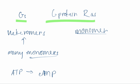 compare-the-g-protein-gs-which-acts-in-transducing-the-signal-from-adrenergic-receptors-and-the-g-protein-ras-what-properties-do-they-share-how-do-they-differ-what-is-the-functional-differen-72708