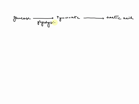 complete-the-model-of-the-lactic-acid-process-ipcdiemcuei-uiwie-acuc-jc0-lemenalon-pioless-glucose-pyruvate-lactic-acid-glycolysis-adp-atp-ndh-nad-ftp-adp-01065