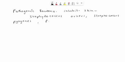 what-pathogenic-bacteria-live-on-skin-what-kind-of-pathogens-are-these-bacteria-what-bacteria-are-able-to-tolerate-the-stomach-environment-when-do-these-bacteria-become-a-problem-explain-the-14037