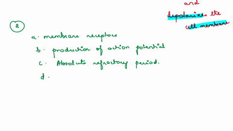 1-the-cell-membrane-immediately-adjacent-to-an-action-potential-depolarizes-because-of-a-membrane-permeability-b-sodium-ons-c-local-currents-d-membrane-receptors-2-what-is-produced-when-depo-31261