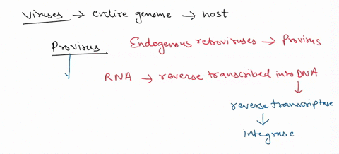which-of-the-following-types-of-viruses-can-integrate-their-entire-genome-into-that-of-the-host-and-remain-dormant-for-long-periods-as-provirus-negativc-single-strandcd-rna-viruses-papilloma-81499