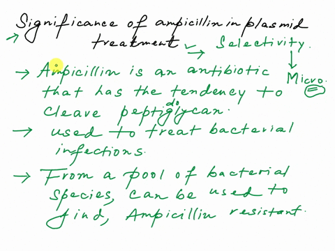 3-why-is-it-necessary-to-include-ampicillin-in-the-medium-with-the-plasmid-treatment-b-why-is-is-necessary-to-include-ampicillin-in-the-medium-with-the-plasmid-treatment-5-what-causes-the-ha-57999