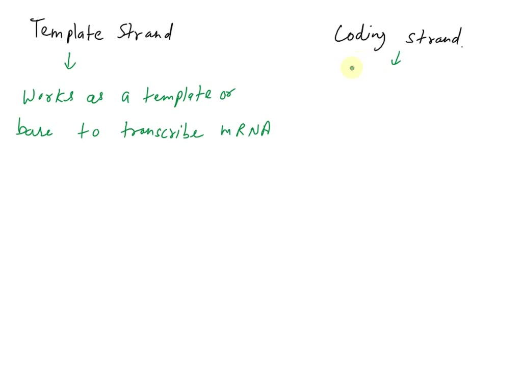 SOLVED: Explain the difference between the coding strand and the ...