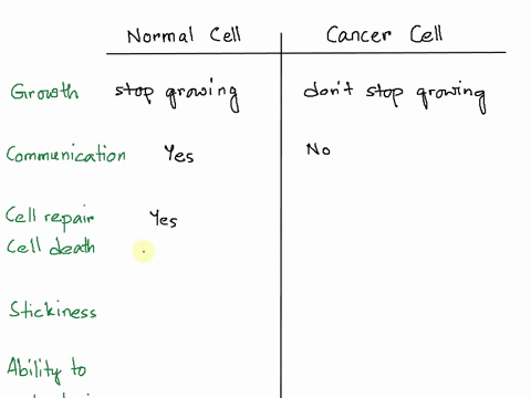 describe-two-major-differences-between-normal-cells-and-cancer-cells-81055