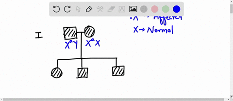 an-x-linked-dominant-trait-is-observed-in-a-family-for-three-generations-based-on-the-following-pedigree-of-the-family-what-is-the-probable-genotype-of-the-individual-marked-with-an-asterisk-00035