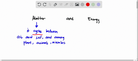in-the-processes-of-photosynthesis-and-cellular-respiration-carbon-is-cycled-between-all-major-spheres-on-earth-plants-obtain-carbon-dioxide-from-the-atmosphere-as-one-reactant-to-conduct-ph-14679