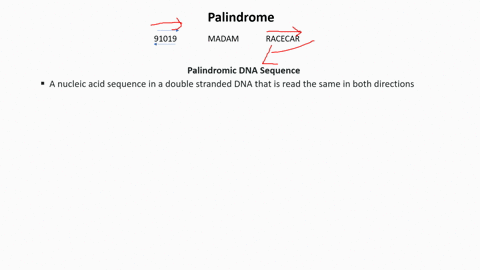 o-que-e-sequencia-de-dna-palindromico-a-leitura-de-coisas-diferente-que-podem-ser-ler-em-direcoes-iguais-bases-de-sequencias-que-o-endonuclease-de-restricao-reconhece-b-leitura-da-mesma-coisa-em-ambas