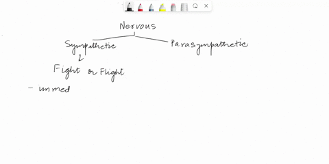 following-the-fight-or-flight-response-parasympathetic-nervous-system-stimulation-would-cause-select-one-o-a-the-bronchioles-to-dilate-o-b-the-liver-to-release-glycogen-o-c-peristalsis-to-de-21619