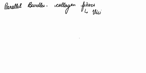question-4-the-microscope-slide-image-below-shows-a-dense-irregular-b-blood-c-adipose-d-compact-bone-clense-regular-hyaline-cartilage-6-areolar-33616