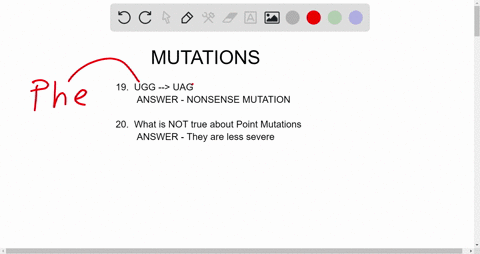 question-19-2-pts-amutation-that-results-in-the-codon-uag-where-there-had-been-ugg-is-anonsense-mutation-a-missense-mutation-frame-shift-mutation-large-scale-mutation-question-20-2-pts-which-65817