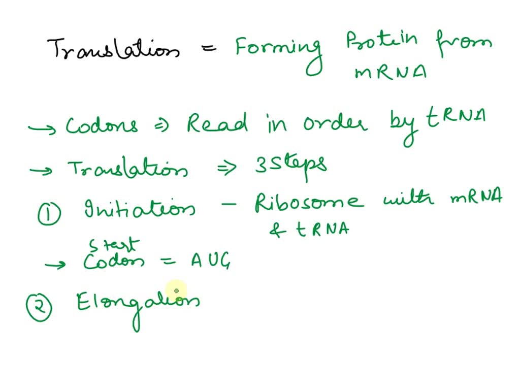 SOLVED: Describe the process of translation including initiation ...