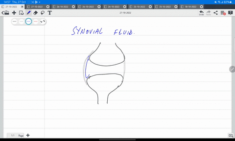 which-of-the-following-is-a-function-of-synovial-fluid-a-lubricates-the-joint-b-provides-nutrients-for-the-articular-cartilage-c-absorbs-shock-within-the-joint-d-all-of-these-are-correct-69983