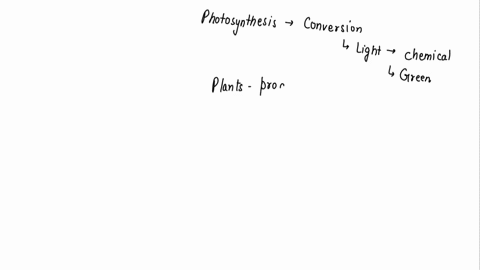 which-charactoristic-of-fungi-most-are-single-colled-lives-moist-arcas-all-ine-above-are-characteristics-fung-saorophyte-dccomdoscr-why-is-ine-relationship-between-mosi-myccrhiza-fung-and-ih-59837