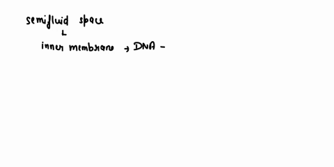 malch-each-structure-of-the-milexchonlrin-aid-chloroplast-to-its-description_-place-ail-auswers-semifluid-space-enclosed-by-an-inner-membrane-that-cotains-dna-ribosomes-ad-enzymes-used-in-th-33502