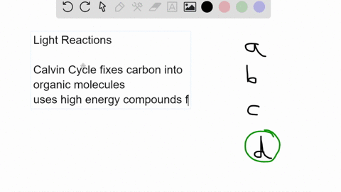 which-of-the-following-molecules-will-accumulate-if-light-reactions-occur-normally-but-the-calvin-cycle-is-inhibited-co2-and-glucose-h20-and-02-adp-i-and-nadp-atp-and-nadph-43343