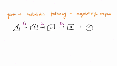 some-metabolic-pathways-the-regulatory-enzyme-specifically-innlbited-by-the-end-produc-pathway-which-accumulates-when-the-amount-of-this-product-exceeds-the-cells-needs-by-inhibitin-regulato-11119