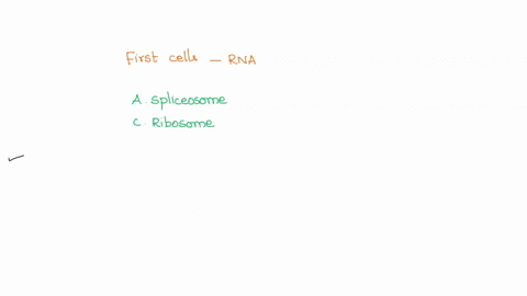 it-has-been-proposed-that-the-first-cells-used-rna-for-both-information-storage-and-catalysis-and-that-dna-and-proteins-evolved-later-which-modern-macromolecules-may-be-relics-of-the-hypothe-86099